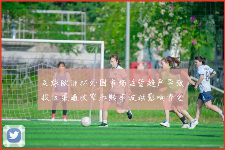 足球欧洲杯外围市场监管趋严导致投注渠道收窄和赔率波动影响资金流向